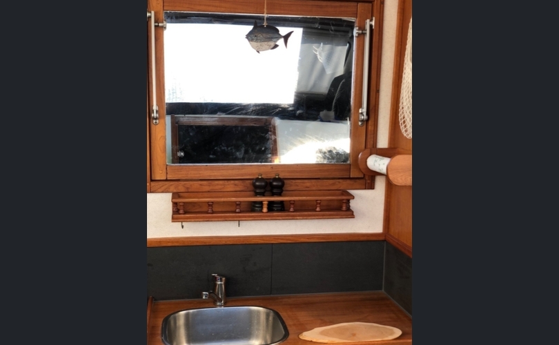 Albatross Flying 870-kuva-6